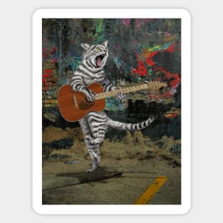 Buskers Acousti-Cat Guitar Sticker